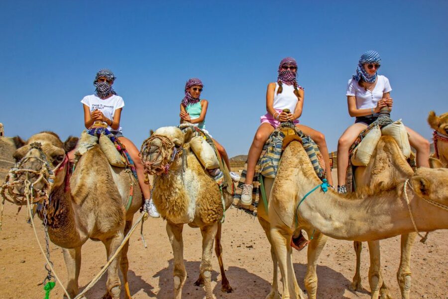 Agadir/Taghazout/Port: Camel Ride Tea & BBQ Option - What makes this camel ride worth your time
