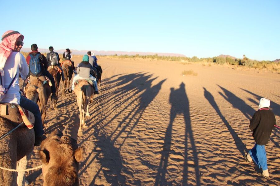 Agadir/Taghazout/Port: Camel Ride Tea & BBQ Option - The river mouth and its pink flamingos