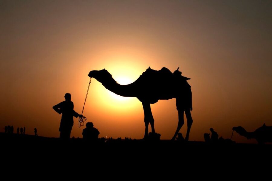 Agadir/Taghazout/Port: Camel Ride Tea & BBQ Option - Mint tea at Camel Tea Place
