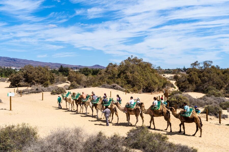 Agadir/Taghazout/Port: Camel Ride Tea & BBQ Option - Is $22 a fair price?