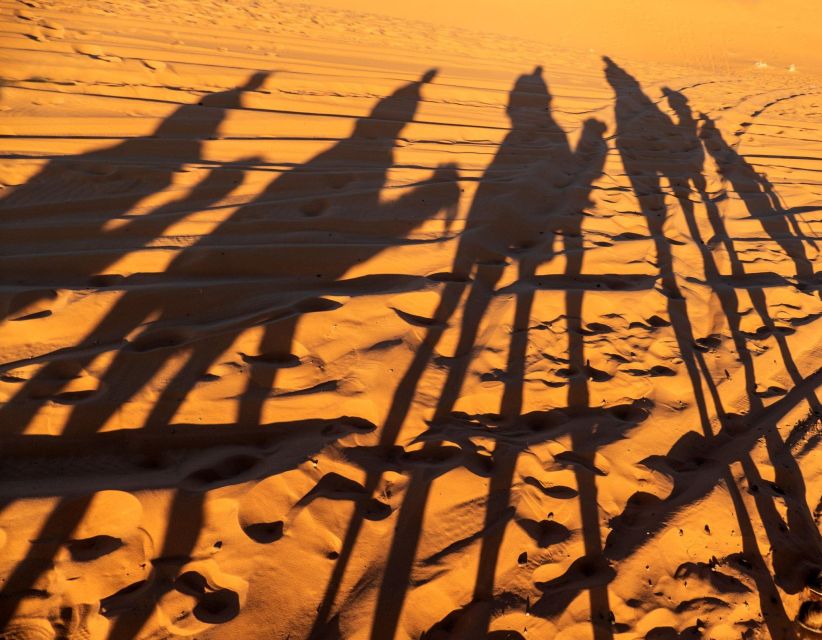 Agadir/Taghazout/Port: Sahara Desert 4x4 Day Trip with Lunch - The day in five useful points