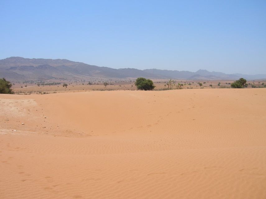 Agadir/Taghazout/Port: Sahara Desert 4x4 Day Trip with Lunch - The short camel ride and optional extras