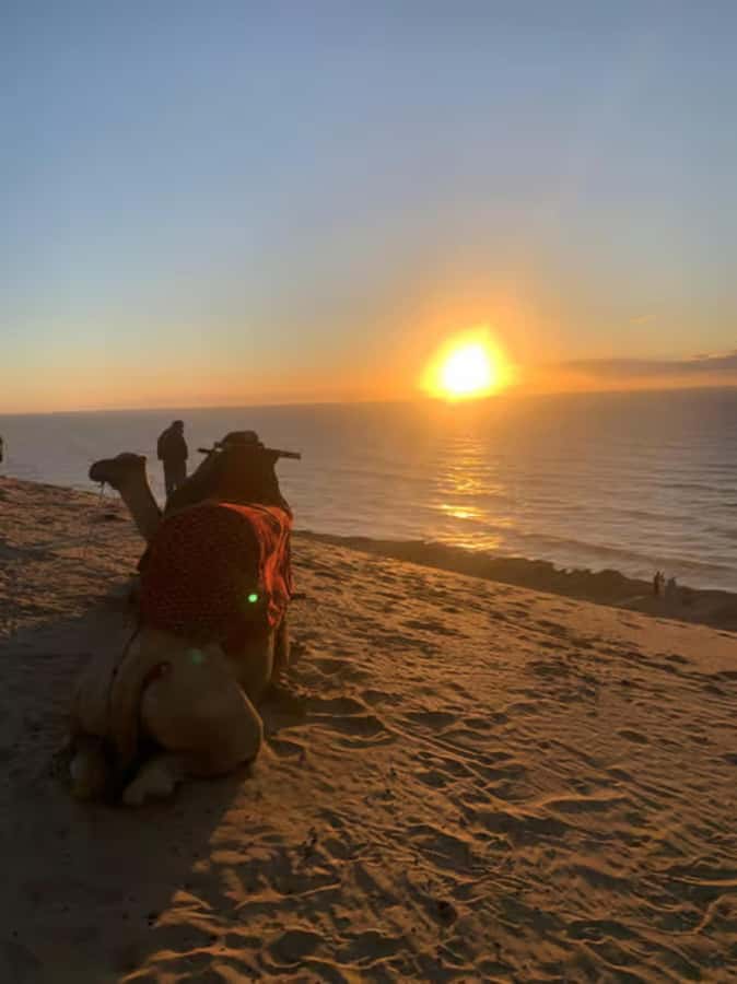 Agadir/Taghazout : Quad Bike & Camel Ride On The Beach - Who should book this experience?