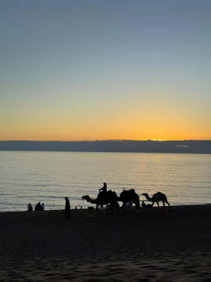 Agadir/Taghazout : Quad Bike & Camel Ride On The Beach - Is $68 good value?