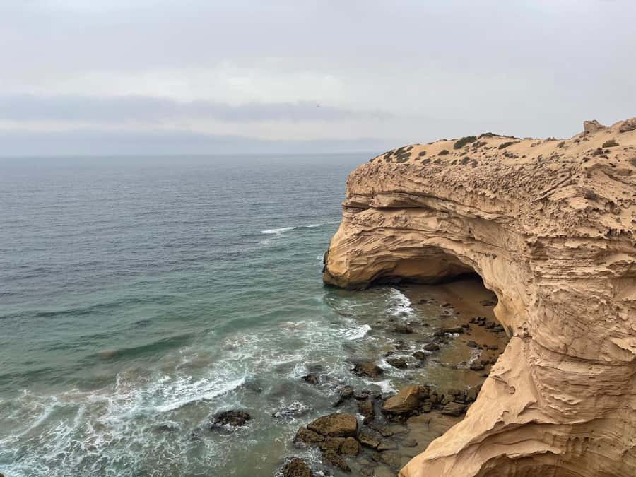 Agadir/Taghazout : Sandboarding & Sunset Camel Ride with BBQ - Guides, transport, and the human side