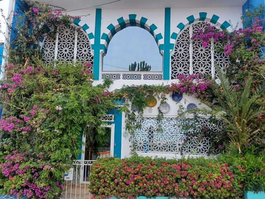 Agadir/Taghazout: Sandboarding & Visit of Canyons With Lunch - Key points to know before you book