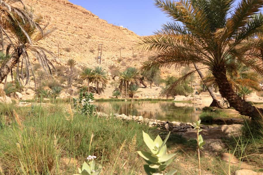 Agadir/Taghazout/Tamraght: Paradise Valley Best Tour - Should you book Paradise Valley Best Tour?