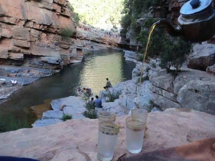 Agadir/Taghazout/Tamraght: Paradise Valley Best Tour - Leaving Agadir at 8:30 AM