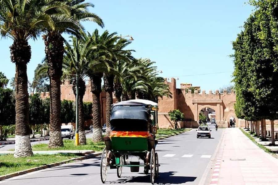 Agadir: Taroudant Oasis and Tiout Day Trip with Lunch Option - Who will enjoy this trip most?