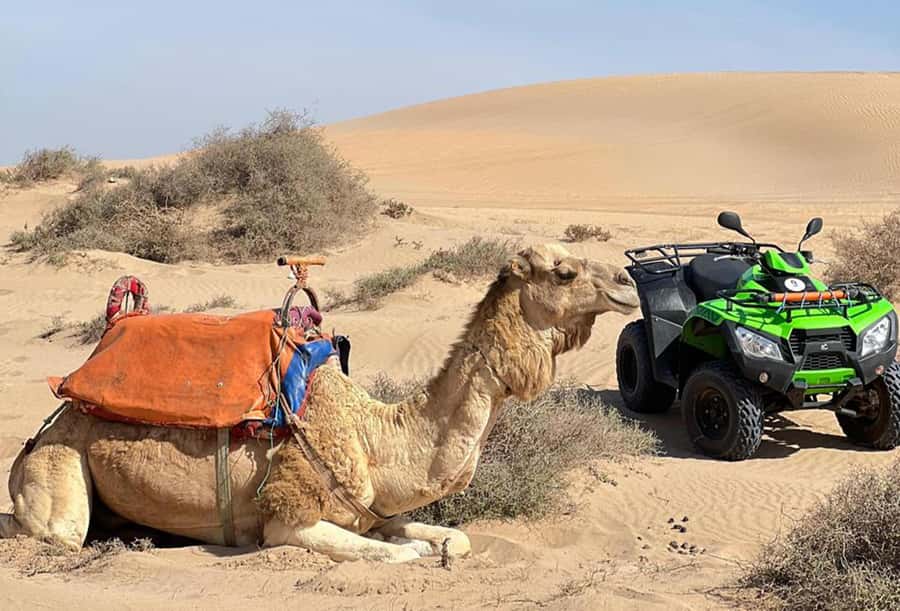 Agadir to Tifnit Desert: Quad Biking Tour with Sandboarding - Safety, comfort, and what to wear