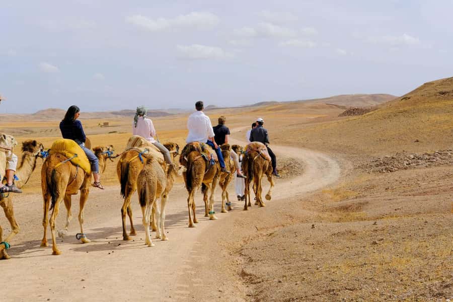 Agafay and atlas: Quad and camel experience - Who will enjoy this most