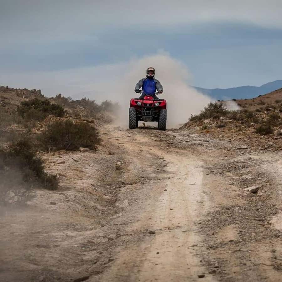 Agafay Desert Day Trip with Lunch, Quad Biking and Swimming - Pool time in the Agafay desert