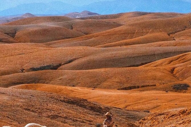 Agafay Desert: Dinner + Show with Quad Bike & Sunset Camel Ride - Dinner under the stars or inside a tent