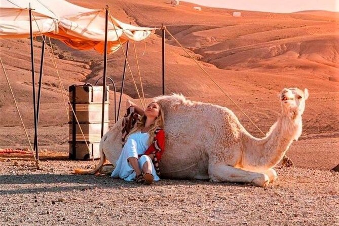 Agafay Desert: Dinner + Show with Quad Bike & Sunset Camel Ride - One hour on a quad bike