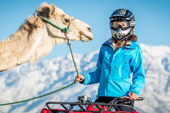 Agafay Desert Package, Quad Bike, Camel Ride and Dinner Show - Key details before you book