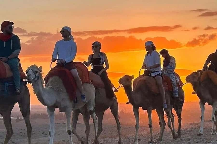 Agafay Desert Package, Quad Bike, Camel Ride and Dinner Show - Who should book this Agafay package?