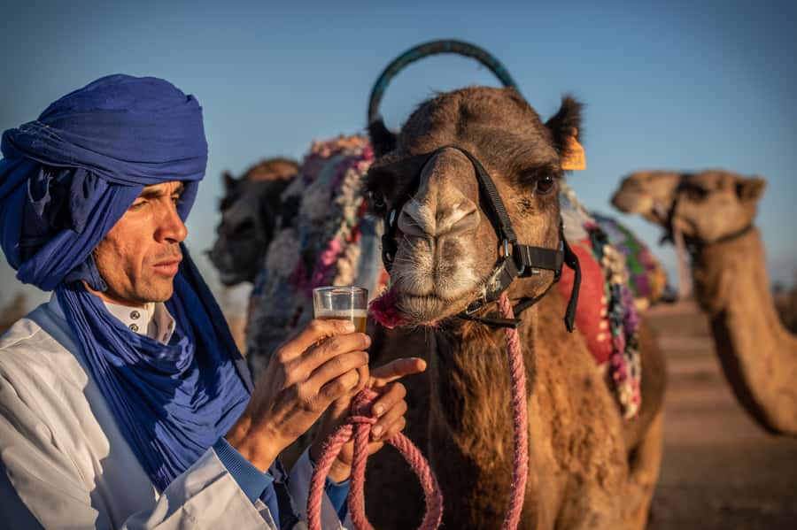 Agafay Desert: Quad Bike and Camel Ride Adventure Tour - Tea, pancakes, and a village welcome