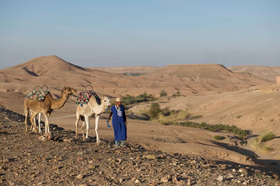 Agafay Desert: Quad Bike and Camel Ride Adventure Tour - How the day feels from start to finish