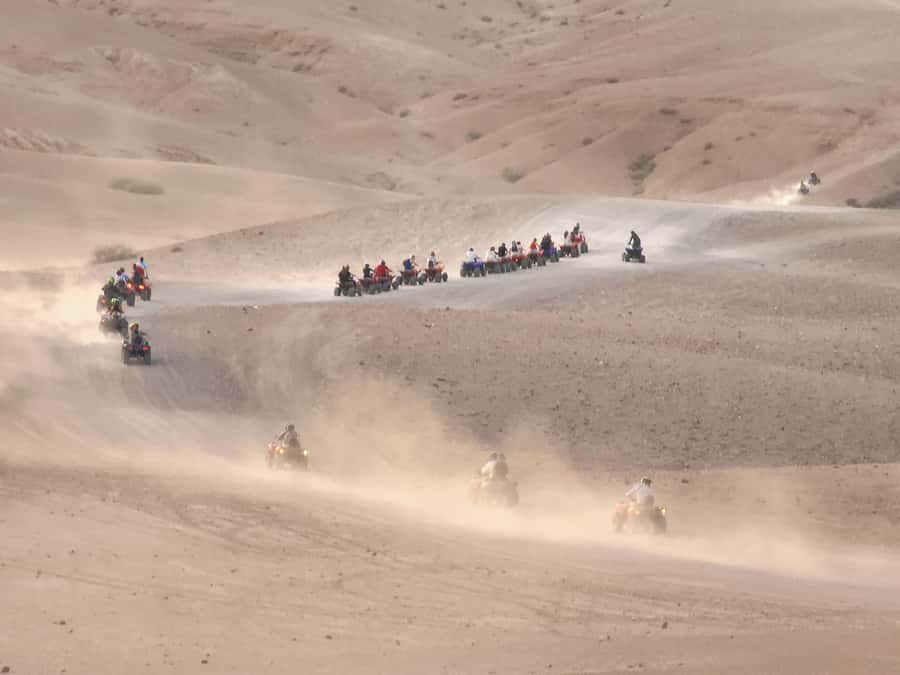 Agafay Desert: Quad Biking, Camel Ride, Lunch - A 20-minute camel ride at a gentler pace