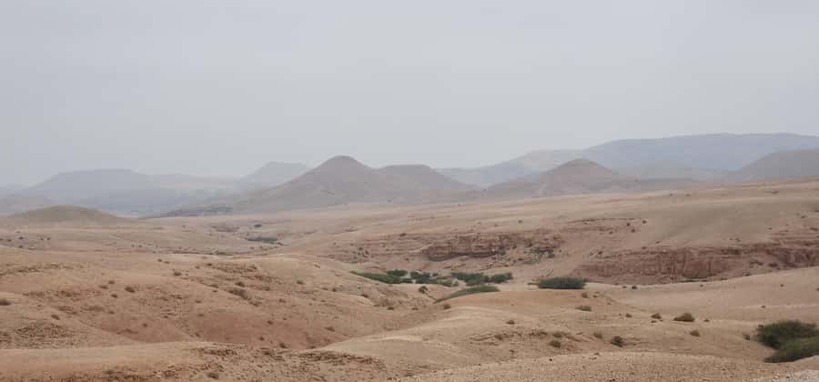 Agafay Desert: Quad Biking, Camel Ride, Lunch - Is $34 a good value?