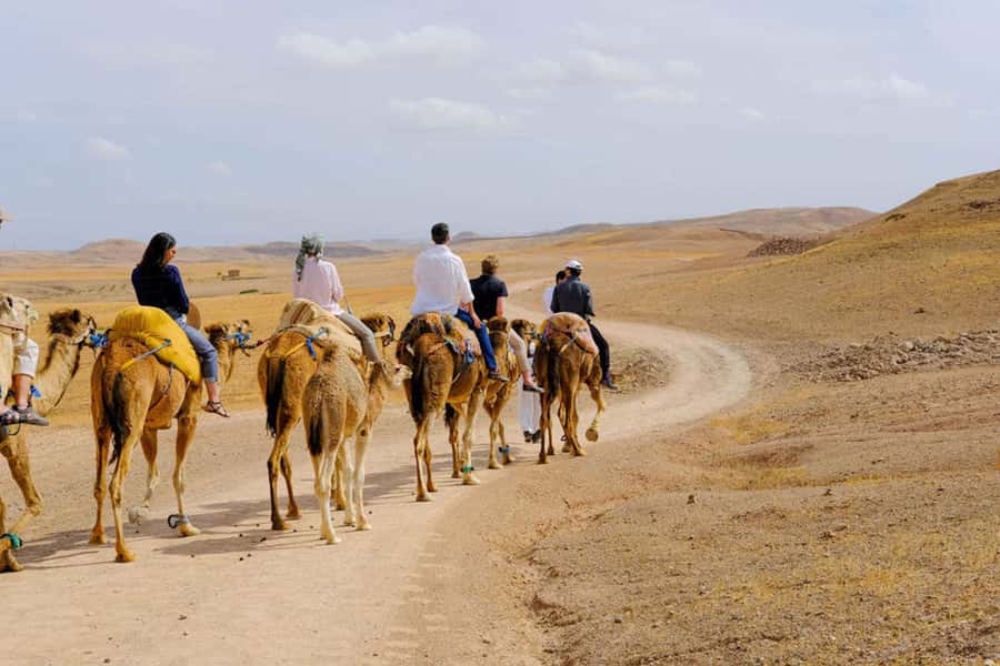 Agafay Desert: Quad, Camel Ride & Luxury Lunch with Pool - Who should book this Agafay day trip?