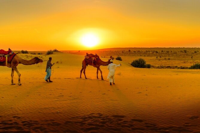 Agafay Desert Sunset, Camel Ride and Dinner from Marrakech - Leaving Marrakech for an early evening in the desert