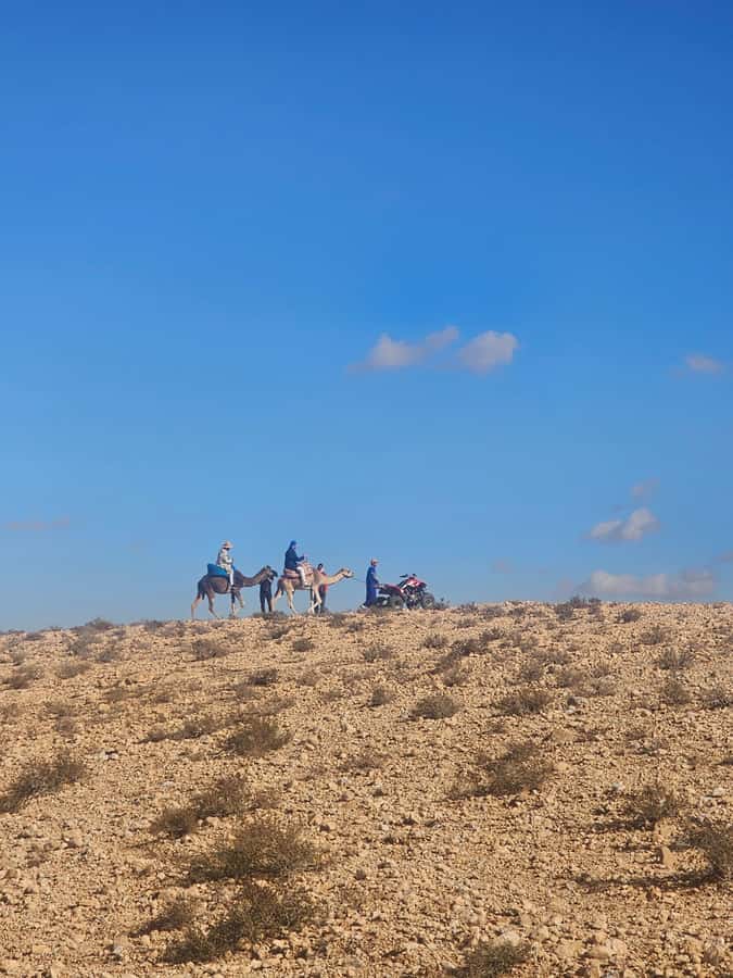 Agafay Desert Tour: Quad, Camel, Lunch & Pool Access - Pool time, comfort, and one clear weakness