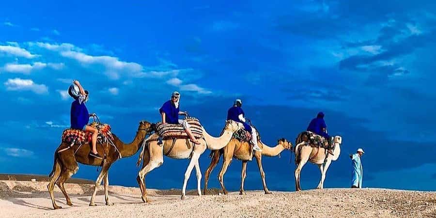 Agafay: Half-Day Rocky Desert Quad & Camel Ride with Lunch - How much value do you get for $35?