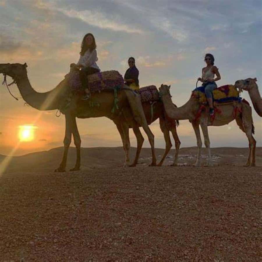 Agafay: Quad, Camel Ride & Dinner Show from Marrakech - Dinner Under a Moroccan Tent
