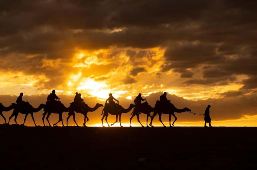 Agafay: Quad, Camel Ride & Dinner Show from Marrakech - Is $22 Good Value?