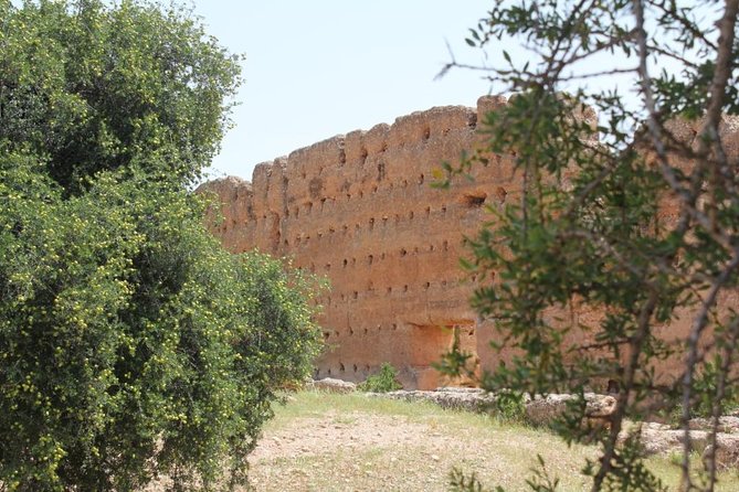 Argan Forest, tea time at a Berbers family & Visit of an Argan cooperative. - Price, transport, and the time commitment