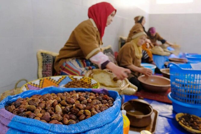 Argan Tree-Climbing Goats Morning Tour From Agadir - Booking, cancellation, and small practical details