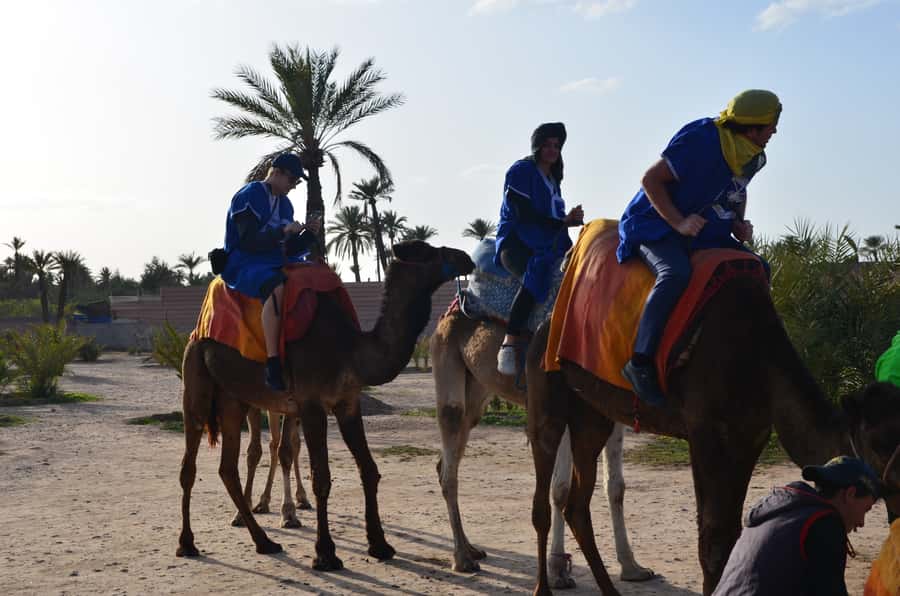 Around Marrakech: Camel Ride in Palm Groves including Tea - Leaving Marrakech for the Palmeraie