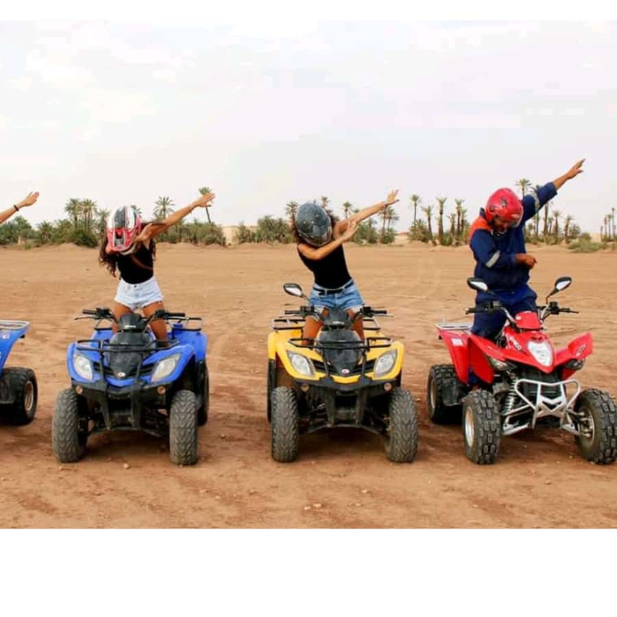 Around Marrakech: Camel Ride in Palm Groves including Tea - An hour through palms and villages