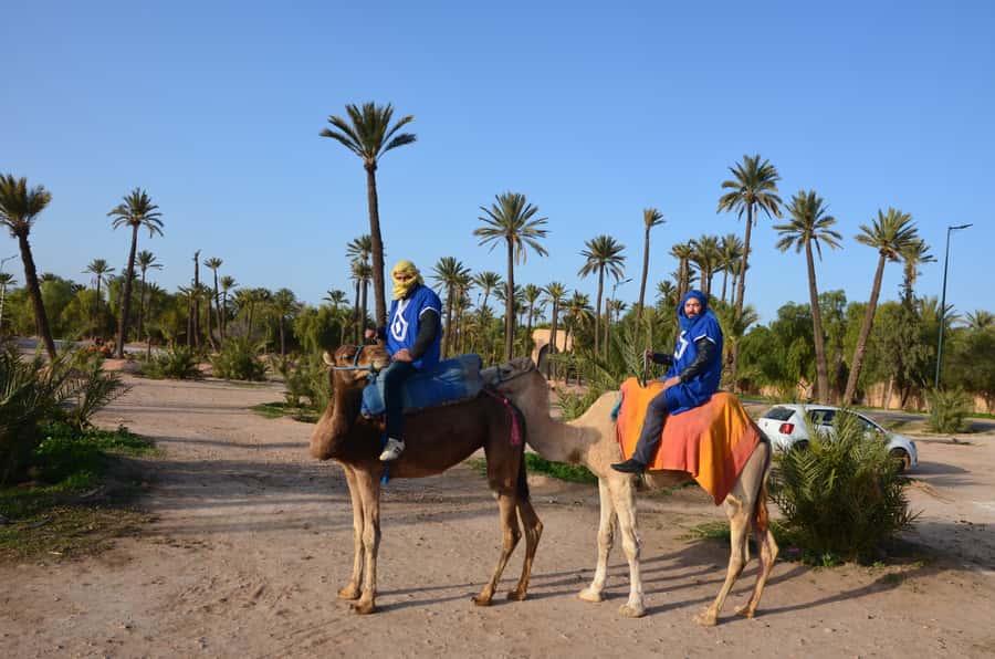 Around Marrakech: Camel Ride in Palm Groves including Tea - The tea stop after the saddle