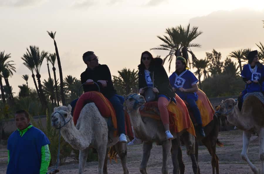 Around Marrakech: Camel Ride in Palm Groves including Tea - Adding two hours of quad biking