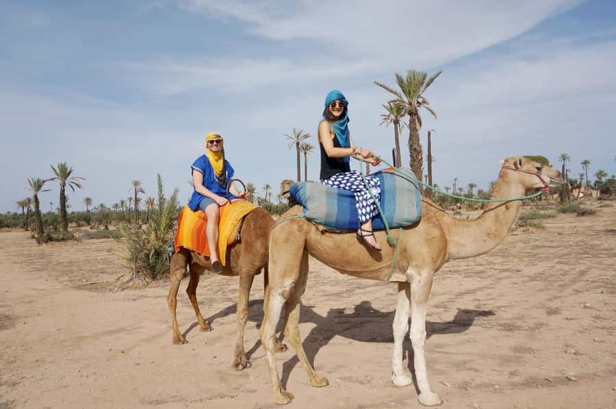 Around Marrakech: Camel Ride in Palm Groves including Tea - Practical clothing and timing advice