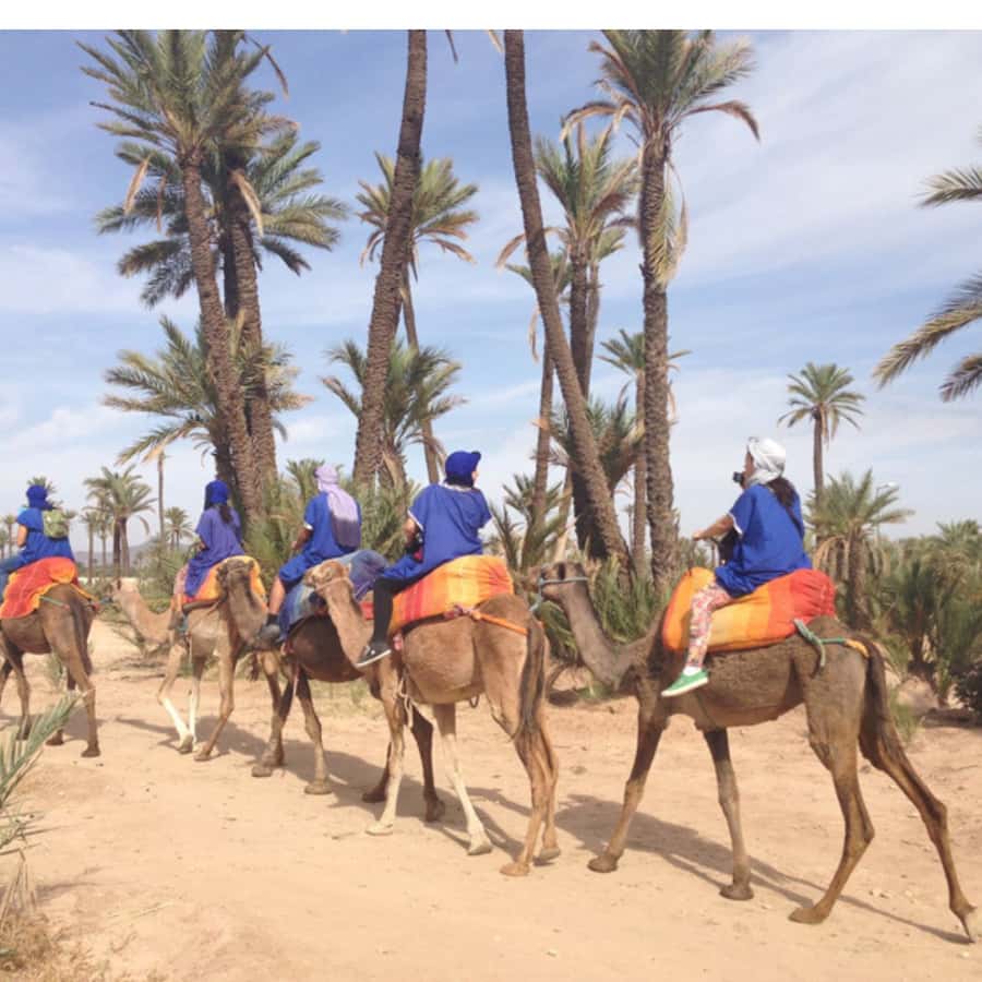 Around Marrakech: Camel Ride in Palm Groves including Tea - Getting dressed for the camel ride
