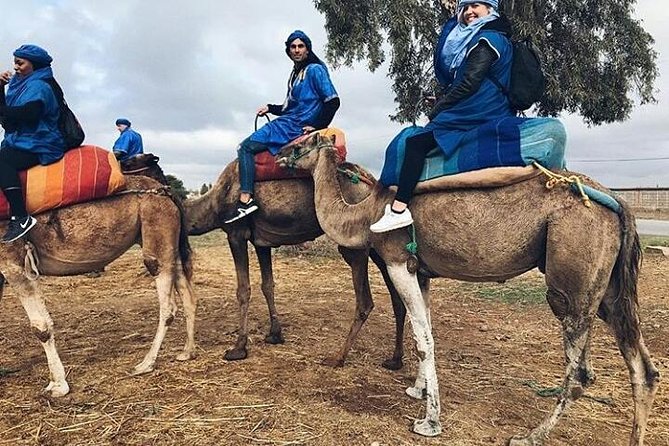 Atlas Mountain & Berber Villages and Waterfalls Day Trip from Marrakech - Tea, Family Hospitality, and Local Food