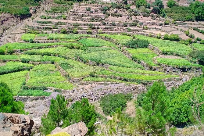 Atlas Mountain & Berber Villages and Waterfalls Day Trip from Marrakech - Who Will Enjoy This Day Most