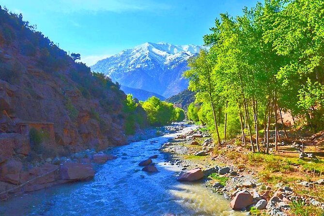 Atlas Mountains, 3 Valleys & Agafay Desert from Marrakech-DayTour - Lunch with a mountain view