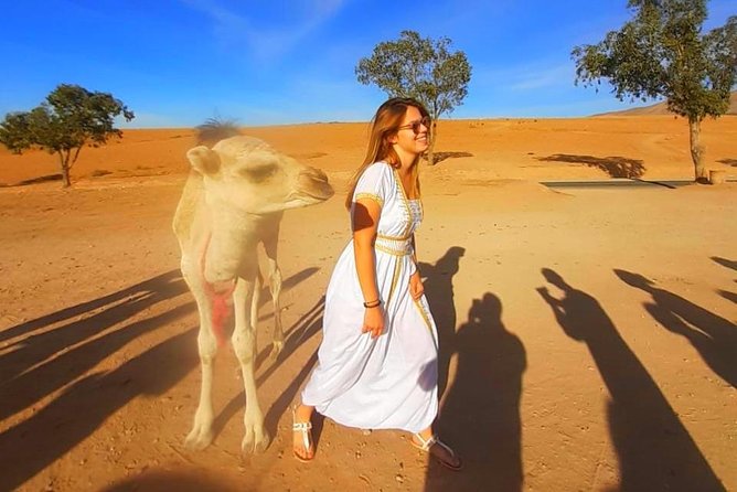 Atlas Mountains, 3 Valleys & Agafay Desert from Marrakech-DayTour - Agafay Desert at sunset
