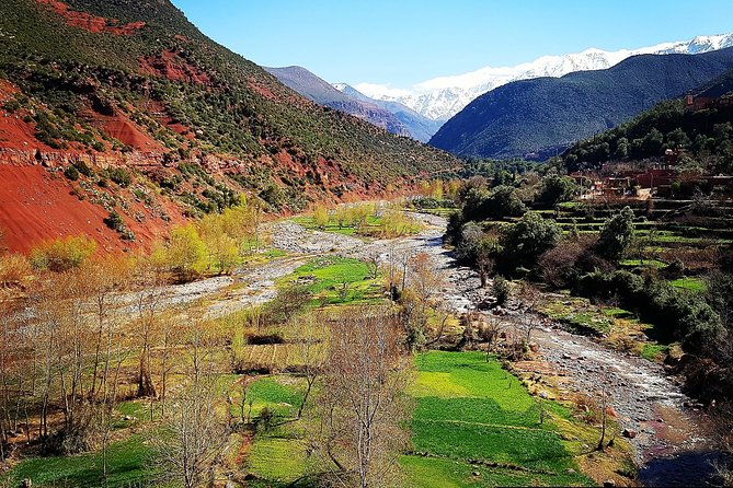 Atlas Mountains & 5 Valleys Tour from Marrakech - All inclusive - - Why this Atlas Mountains day trip works