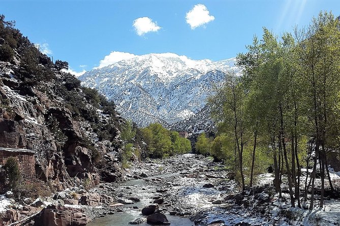 Atlas Mountains & 5 Valleys Tour from Marrakech - All inclusive - - Food and drinks included in the $91.53 price