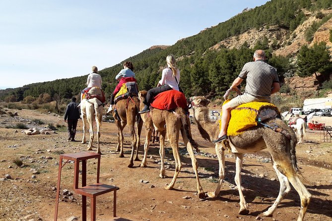 Atlas Mountains and Camel ride Day trip, from Marrakech - Key points to know before you book