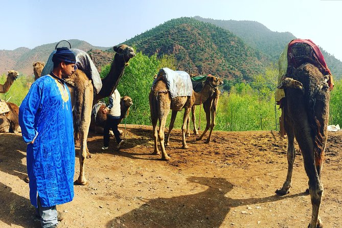 Atlas Mountains and Camel ride Day trip, from Marrakech - Walking between villages and toward the waterfall