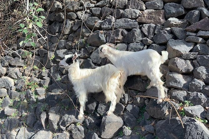 Atlas Mountains and Three Valleys & Waterfalls - Villages Marrakech Day Trip - Why this makes a good Marrakech day trip