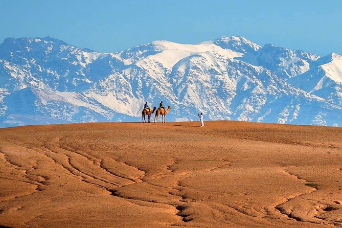 Atlas Mountains and Three Valleys & Waterfalls - Villages Marrakech Day Trip - The camel ride: fun, brief, and a little awkward