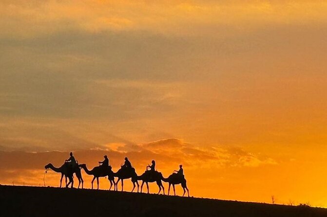 Atlas Mountains, Berber Villages and Three Valleys all inclusive - The Argan Oil Cooperative and Goats in the Trees