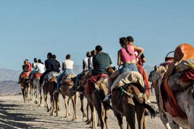 Atlas Mountains, Berber Villages and Three Valleys all inclusive